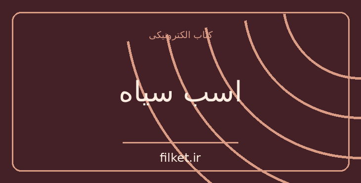 دانلود کتاب اسب سیاه اثر تاد رز | موفقیت و عادت ها