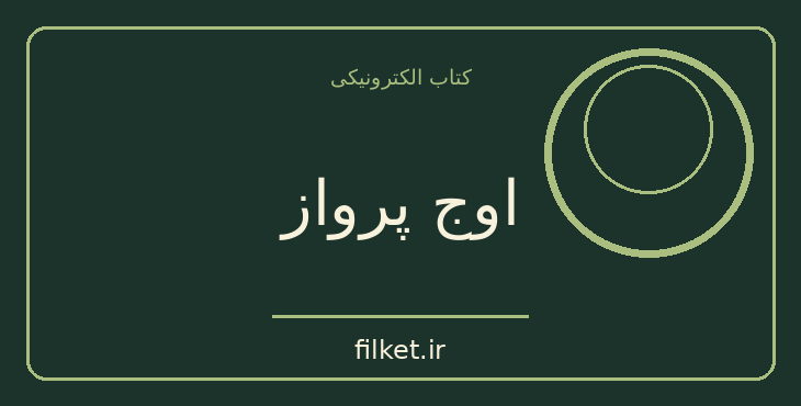 دانلود کتاب اوج پرواز اثر ماری روزنبرگ و دنیل سیلورت | آرامش و ذهن آگاهی