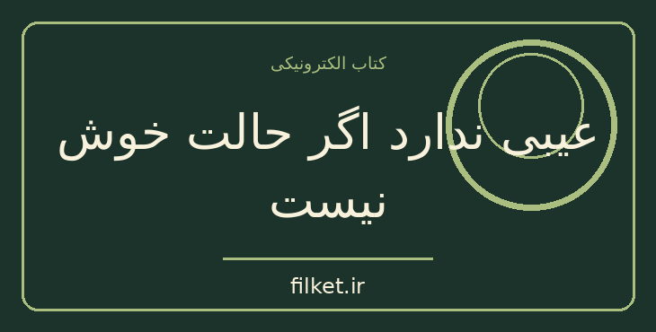 دانلود کتاب عیبی ندارد اگر حالت خوش نیست اثر مگان دیواین | فایلکت