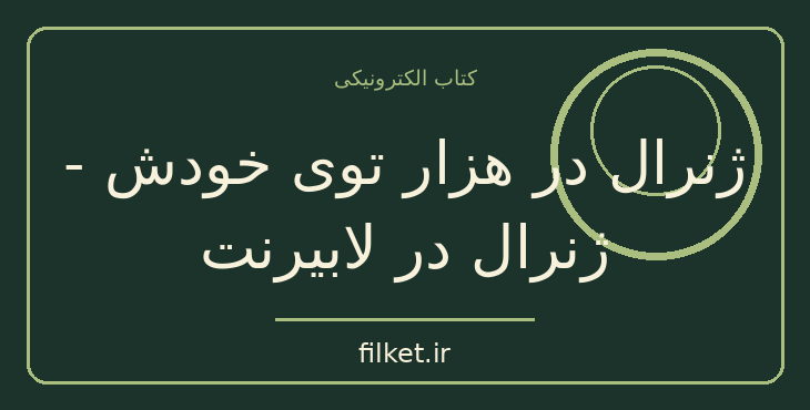 دانلود کتاب ژنرال در هزار توی خودش - ژنرال در لابیرنت | فایلکت
